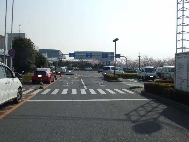 春です!欲しいクルマに乗り換えませんか?