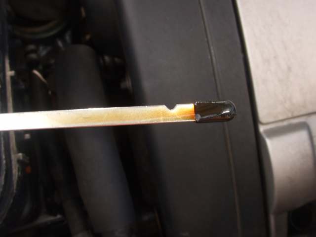 シトロエンC6のE/Gオイル交換